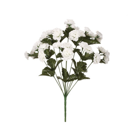 R.CLAVELLINAS