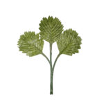POMO VARA HOJA ARECA X12