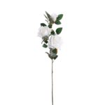 VARA ROSA Y CAPULLO *BLANCO