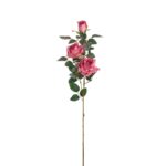 VARA ROSA Y CAPULLO *FUXIA