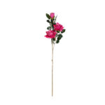 VARA ROSA Y CAPULLO *FUXIA