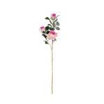 VARA ROSA Y CAPULLO *FUXIA
