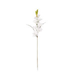 GLADIOLO GRANDE *BLANCO