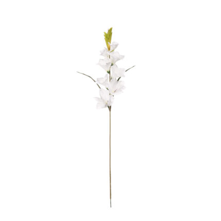 GLADIOLO GRANDE *BLANCO