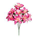 R.LILIUM *FUXIA