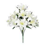 R.LILIUM *FUXIA