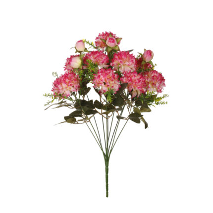 R.CRISANTEMUS *FUXIA