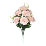 R.CAMELIA
