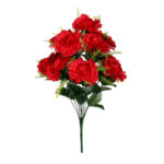R.CAMELIA