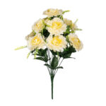 R.CAMELIA