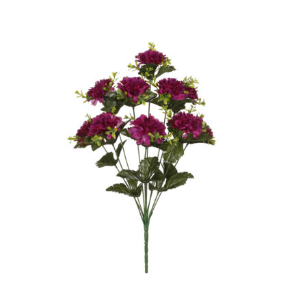R.MINI DAHLIA *FUXIA
