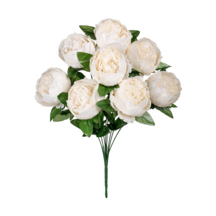 R.PEONIA *BLANCO