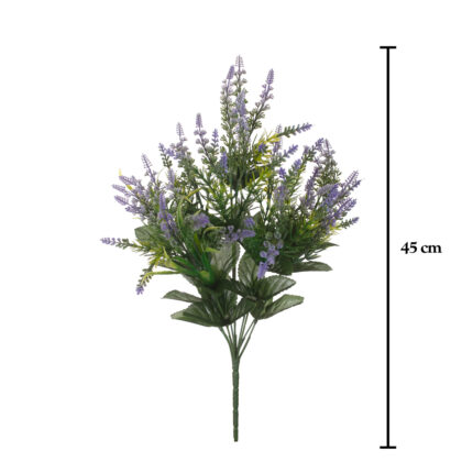 R.LAVANDA