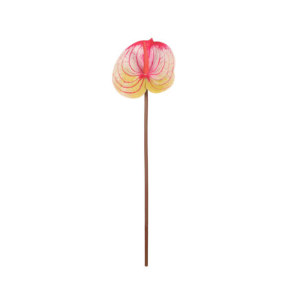VARA ANTHURIUM *ROSA