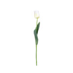 VARA TULIPAN