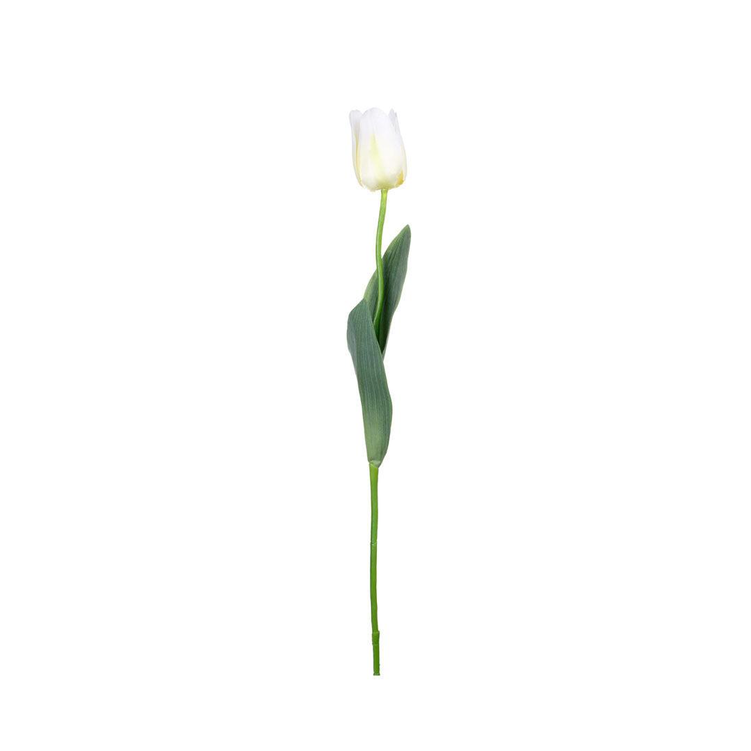 99027002-0.jpg VARA TULIPAN