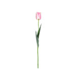 VARA TULIPAN