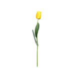 VARA TULIPAN