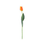VARA TULIPAN