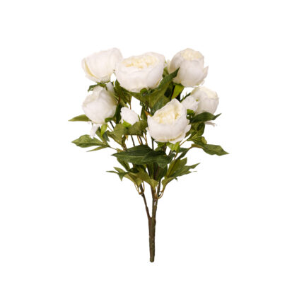 MATA PEONIA *BLANCO
