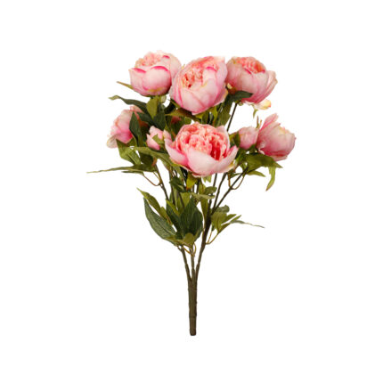 MATA PEONIA