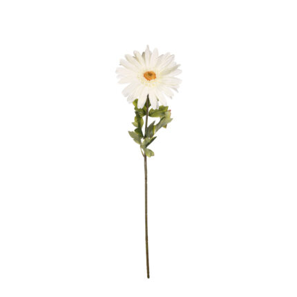 V.GERBERA X1 GIGANTE *BLANCO