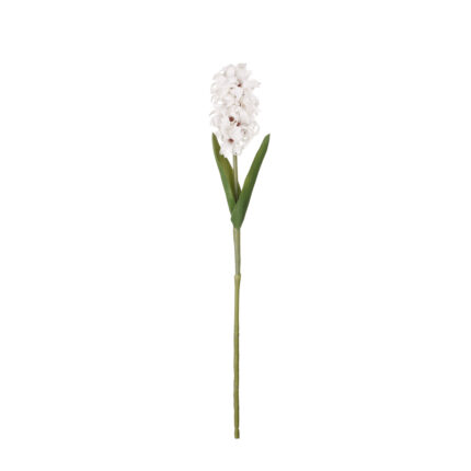 VARA DE JACINTO *BLANCO