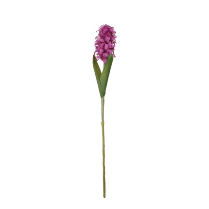 VARA DE JACINTO *FUXIA