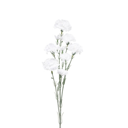 VARA CLAVELES *BLANCO
