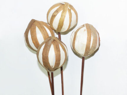 SOLA ZEBRA BALL VERTICAL