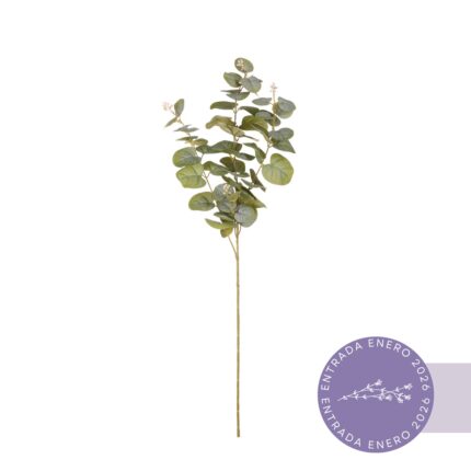 VARA EUCALIPTO 80CM