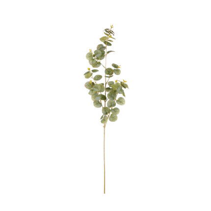 VARA EUCALIPTO 90CM *V.CLARO