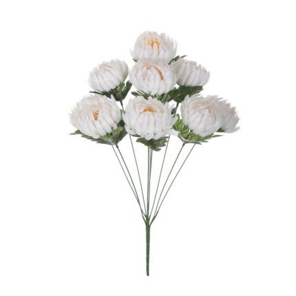 R. CRISANTEMO SEMILLA