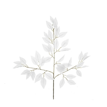 HOJA FICUS