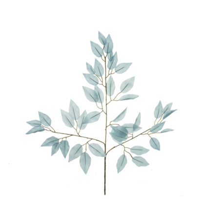 HOJA FICUS