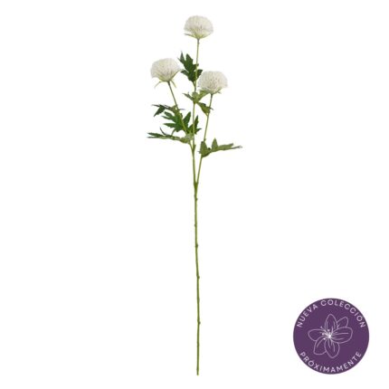 VARA DAHLIA POMPON X3