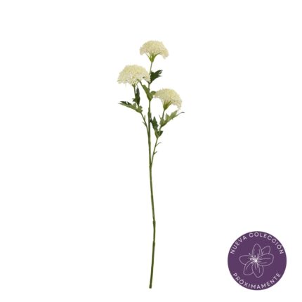 VARA SEMILLA HORTENSIA X3