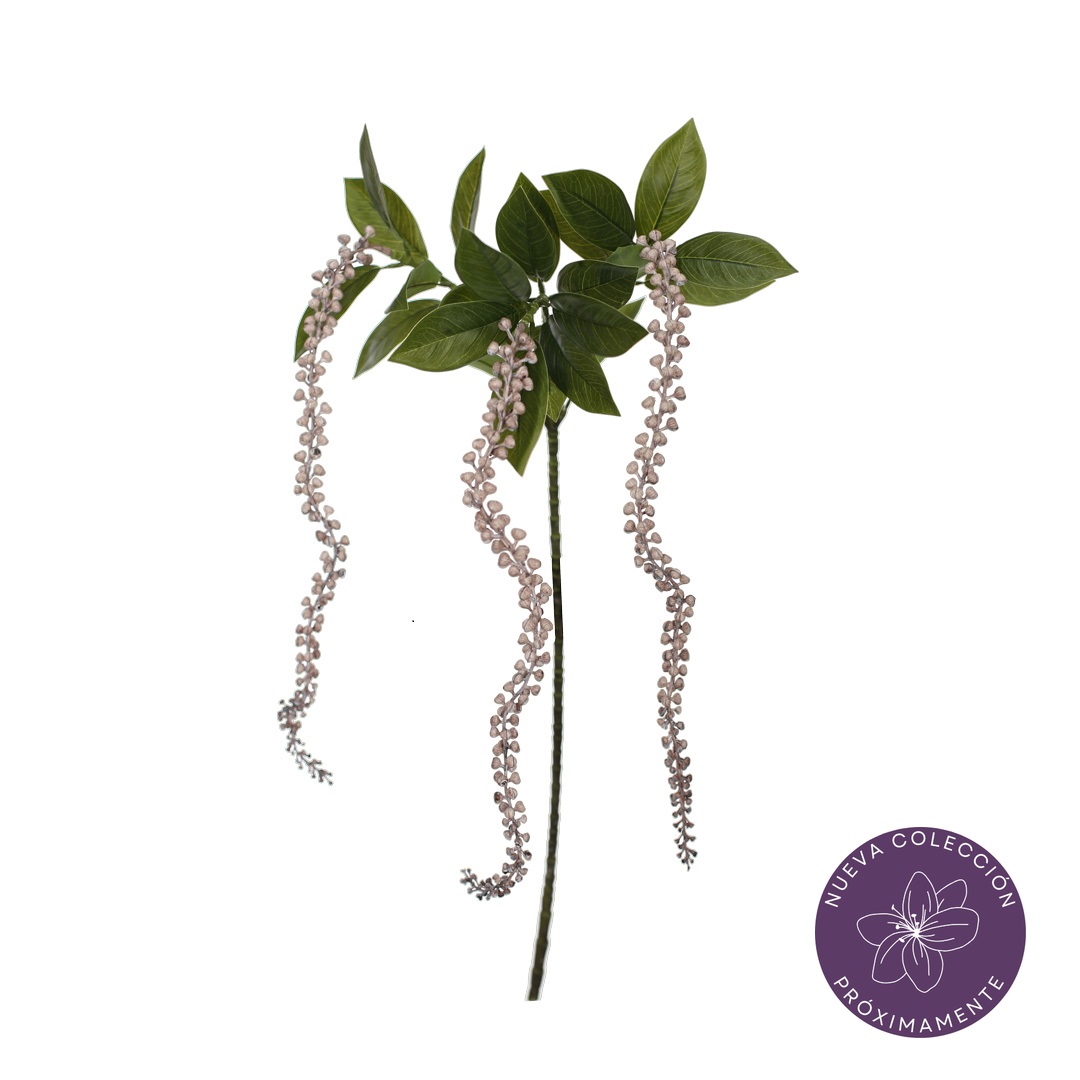 99055002-0.jpg VARA AMARANTHUS