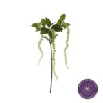 VARA AMARANTHUS