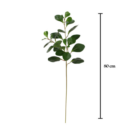 VARA EUCALIPTO DOLAR 81CM