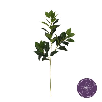 VARA HOJA BANIANO