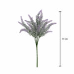 R. LAVANDA