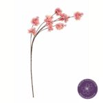 VARA FLOR DE CEREZO