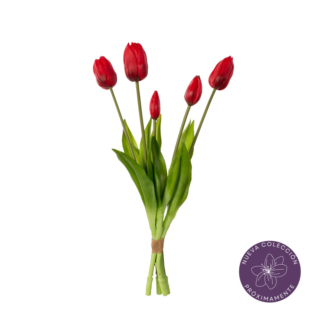 99055156-2.jpg ATADO TULIPAN REAL TOUCH X5 *ROJO