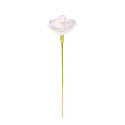 VARA FLOR AMARYLIS* VIOLETA