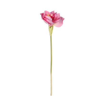 VARA FLOR AMARYLIS* VIOLETA
