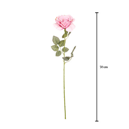 ROSA X1 NATURAL