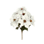 R. POISENTIA