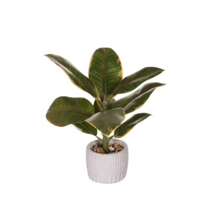 MACETA HEVEA 30CM