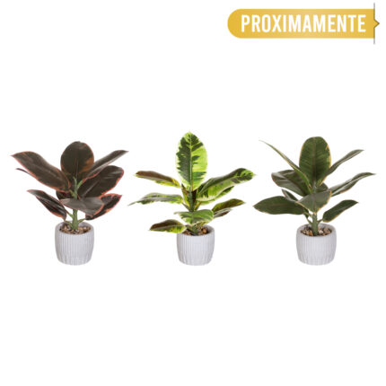 MACETA HEVEA 30CM
